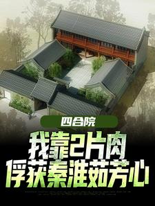 王建安秦淮茹小说四合院：我靠2片肉俘获秦淮茹芳心在线阅读